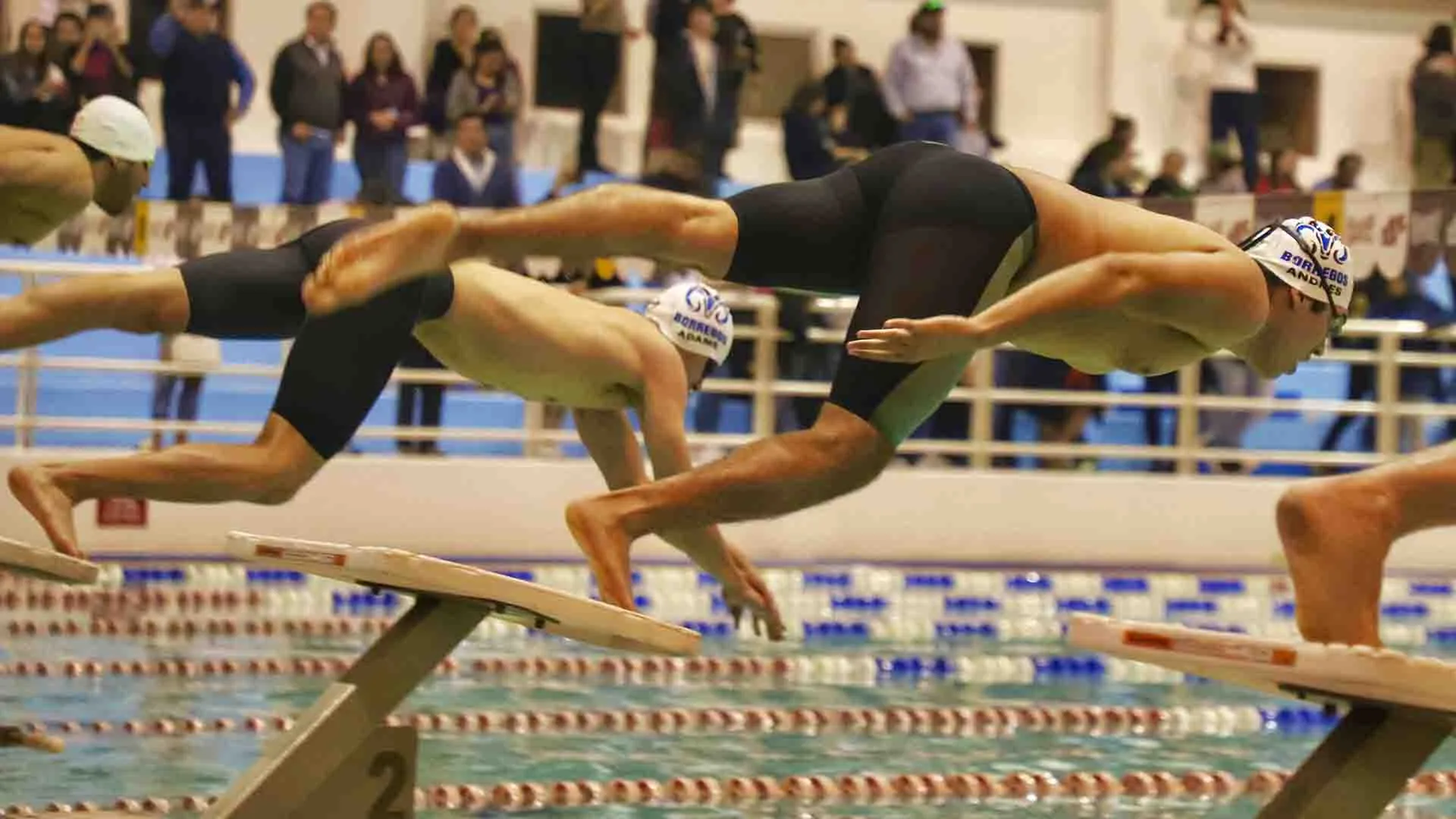 Seis Borregos Laguna claisifcaron al nacional de nataci&oacute;n en invierno