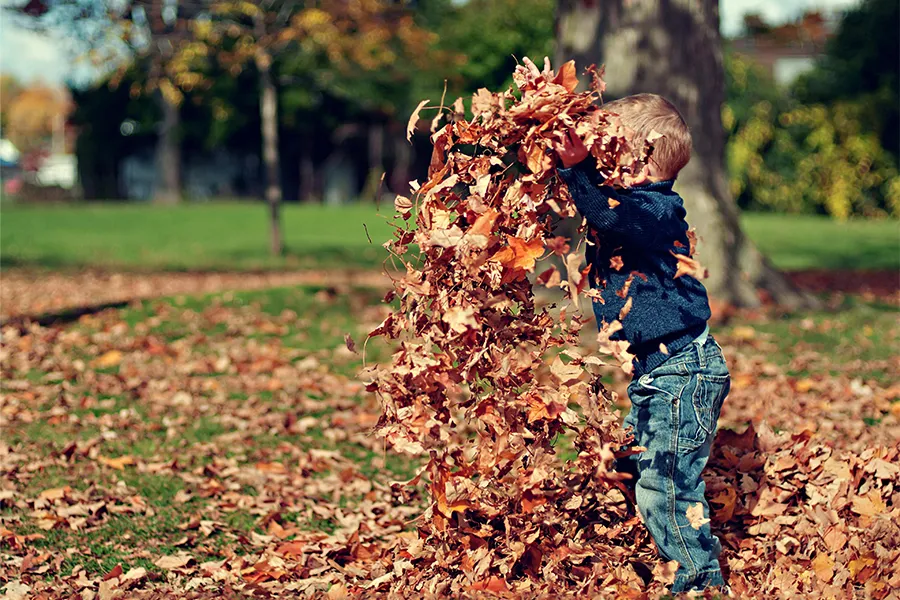Ni&ntilde;o jugando con hojas.