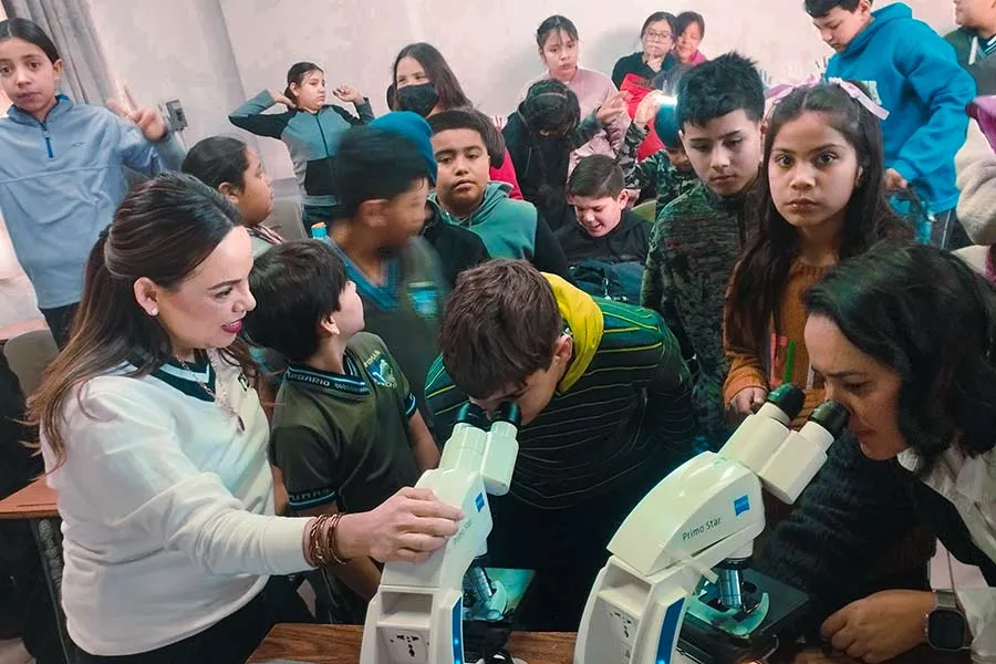 Ni&ntilde;os observando muestras en un taller de ciencia con Teachando Ando.