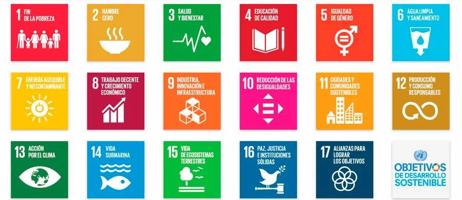 El Tec particip&oacute; en 16 de los Objetivos de Desarrollo Sostenible de la ONU.