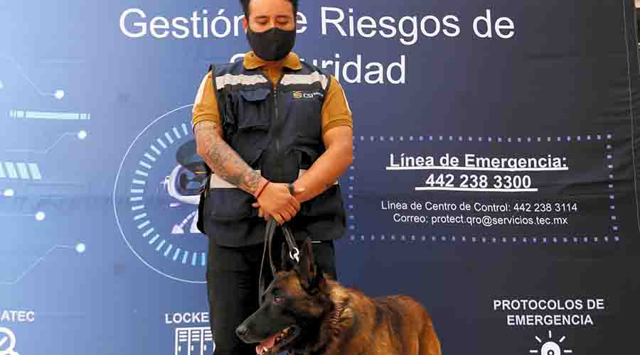Sack perro guardi&aacute;n de la PrepaTec Quer&eacute;taro
