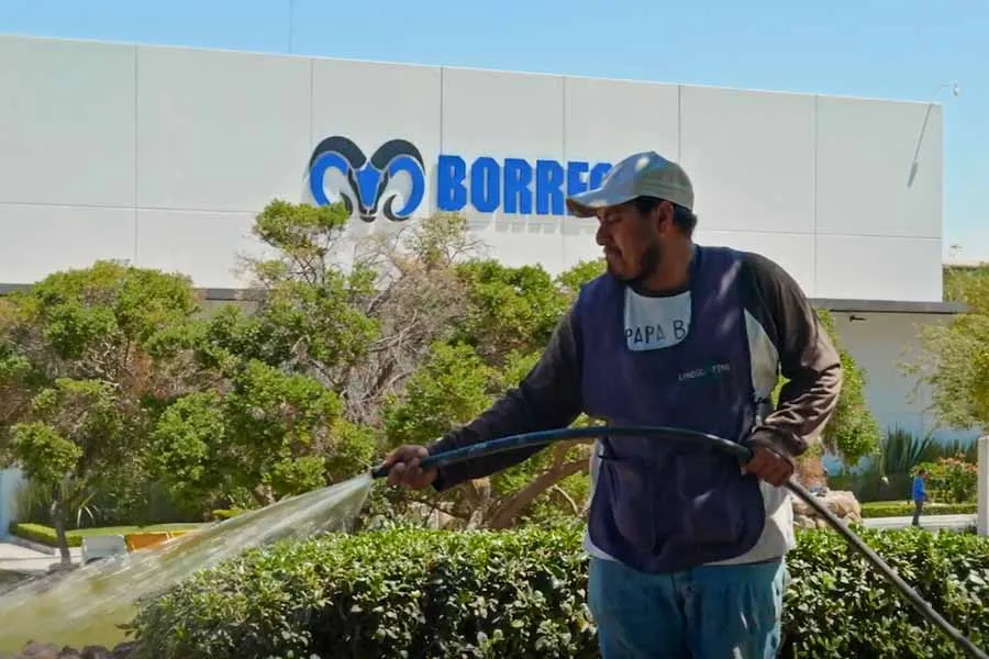 Hombre regando las &aacute;reas verdes con agua tratada.