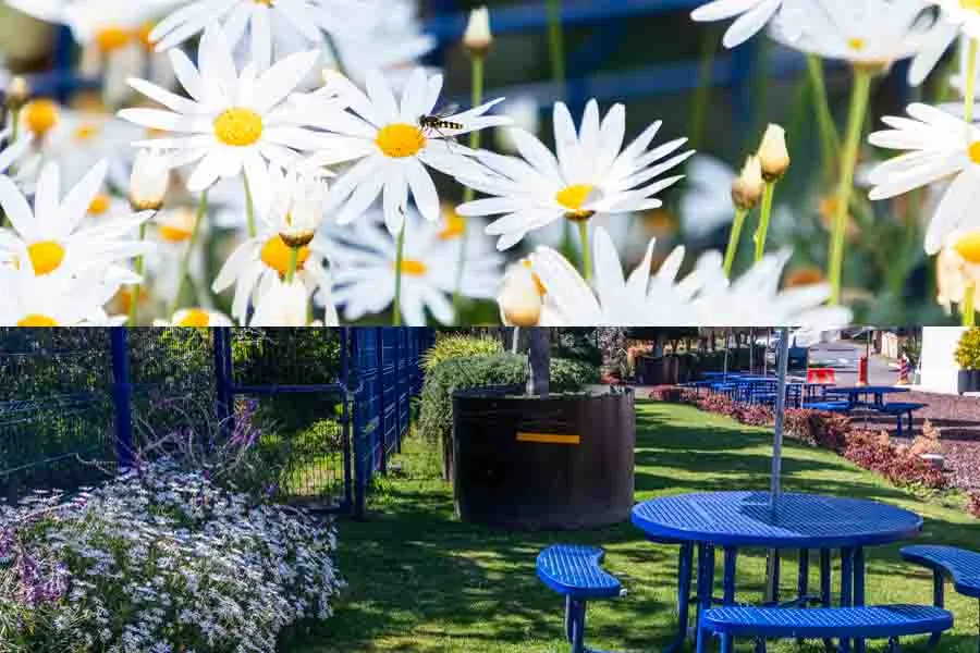 Pr&aacute;cticas sostenibles de la comunidad del Tec campus Santa Fe.