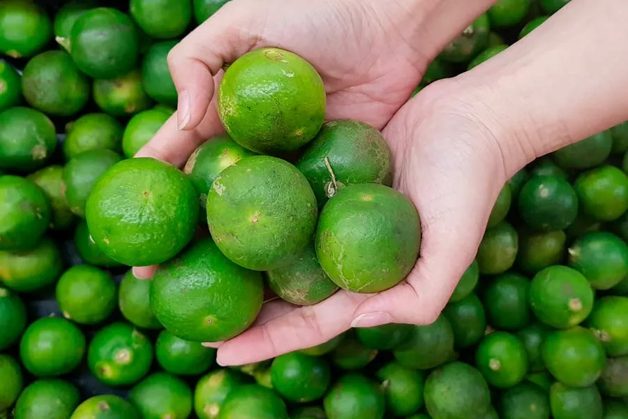 El aumento del precio del lim&oacute;n est&aacute; sujeto a varios factores como la inflaci&oacute;n y la baja producci&oacute;n.