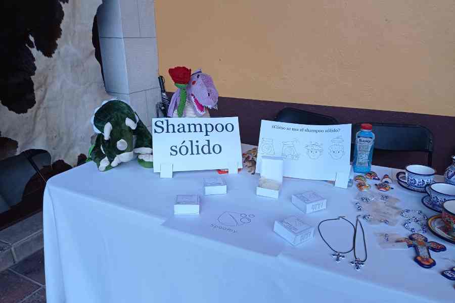Primeros puestos de venta de Spoomy champ&uacute; s&oacute;lido
