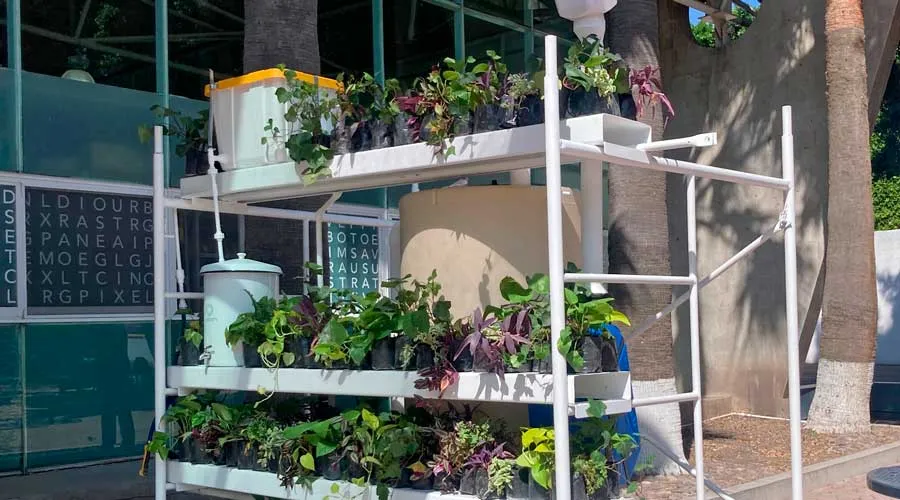 Los profesores Rub&eacute;n Garnica Monroy, Diana Garc&iacute;a Cejudo, Rodrigo Pantoja Calder&oacute;n y Viviana Barquero, lideran bajo la iniciativa de LIVING LAB, un proyecto de captaci&oacute;n de agua de lluvia en el Tec campus Quer&eacute;taro. 