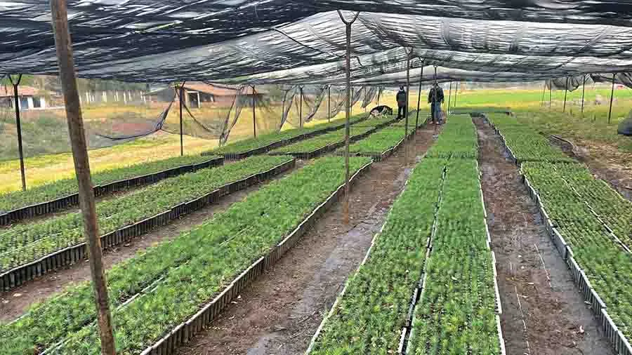 Proyecto de sostenibilidad por EXATEC del campus Querétaro 
