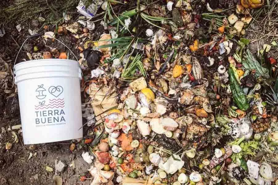 Egresados del Tec recolectan basura org&aacute;nica en queretaro