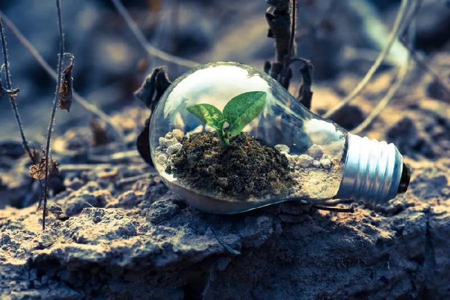 Recomendaciones para reducir nuestra huella ecol&oacute;gica 