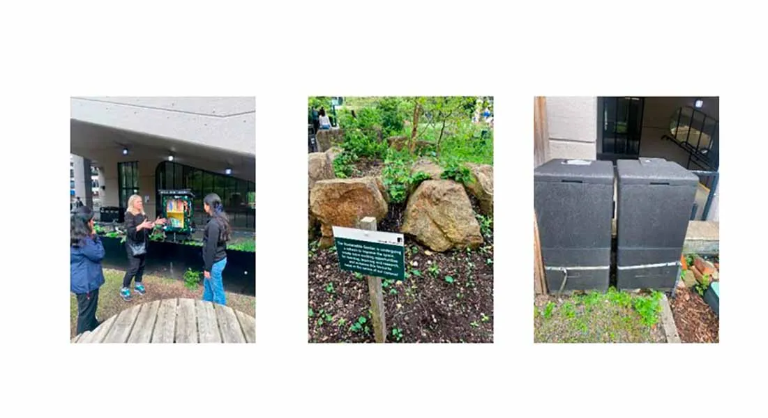 Ruta sustentable, comparten estrategias con acad&eacute;micos de Reino Unido.