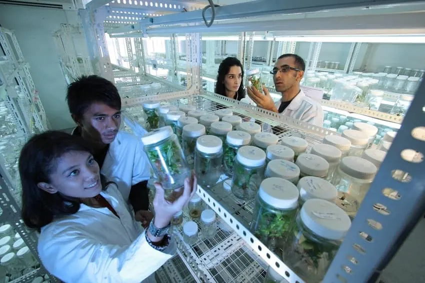 Semana Tec: Investigaci&oacute;n de Salud desarroll&oacute; en los alumnos habilidades en este campo profesional