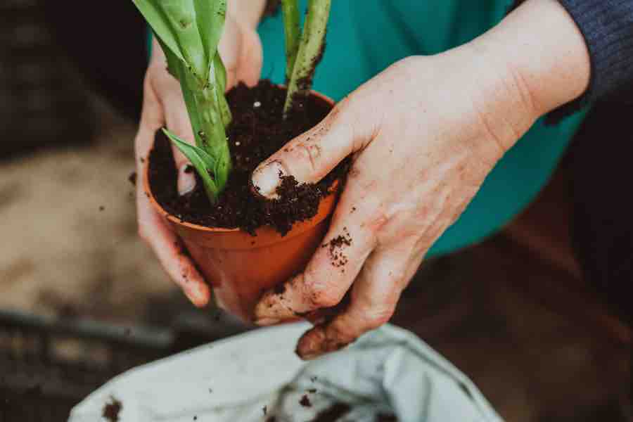 El cuidado del ambiente es una actitud humana con gran impacto social.