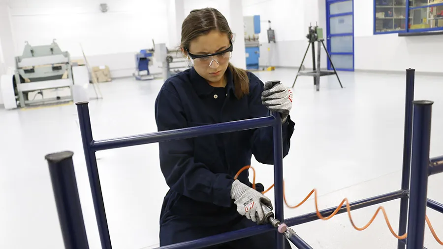El Tec ofrece 6 áreas de exploración