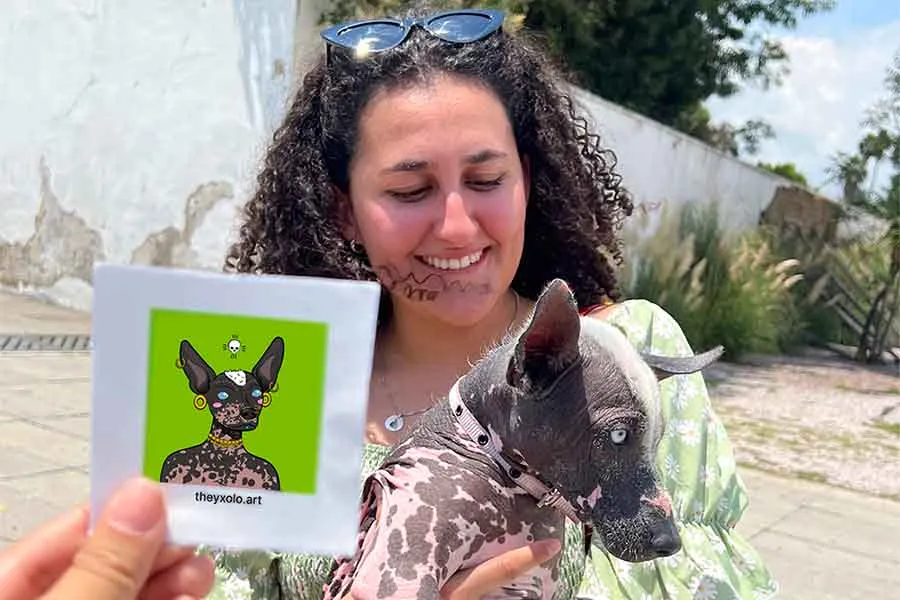 Promueven la cultura mexicana y diversidad a trav&eacute;s del arte digital