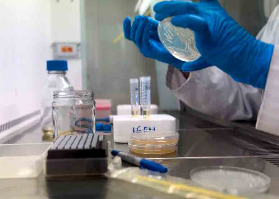 Torneo mundial de biolog&iacute;a, iGEM, en el que destac&oacute; grupo estudiantil del Tec Guadalajara. 