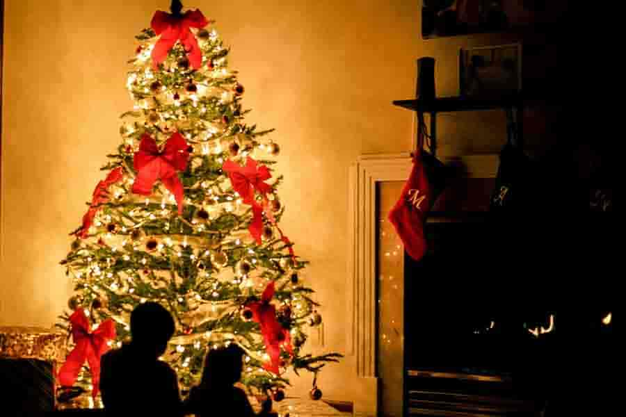 La elecci&oacute;n del &aacute;rbol de Navidad es muy importante cuando se trata de ser sustentable