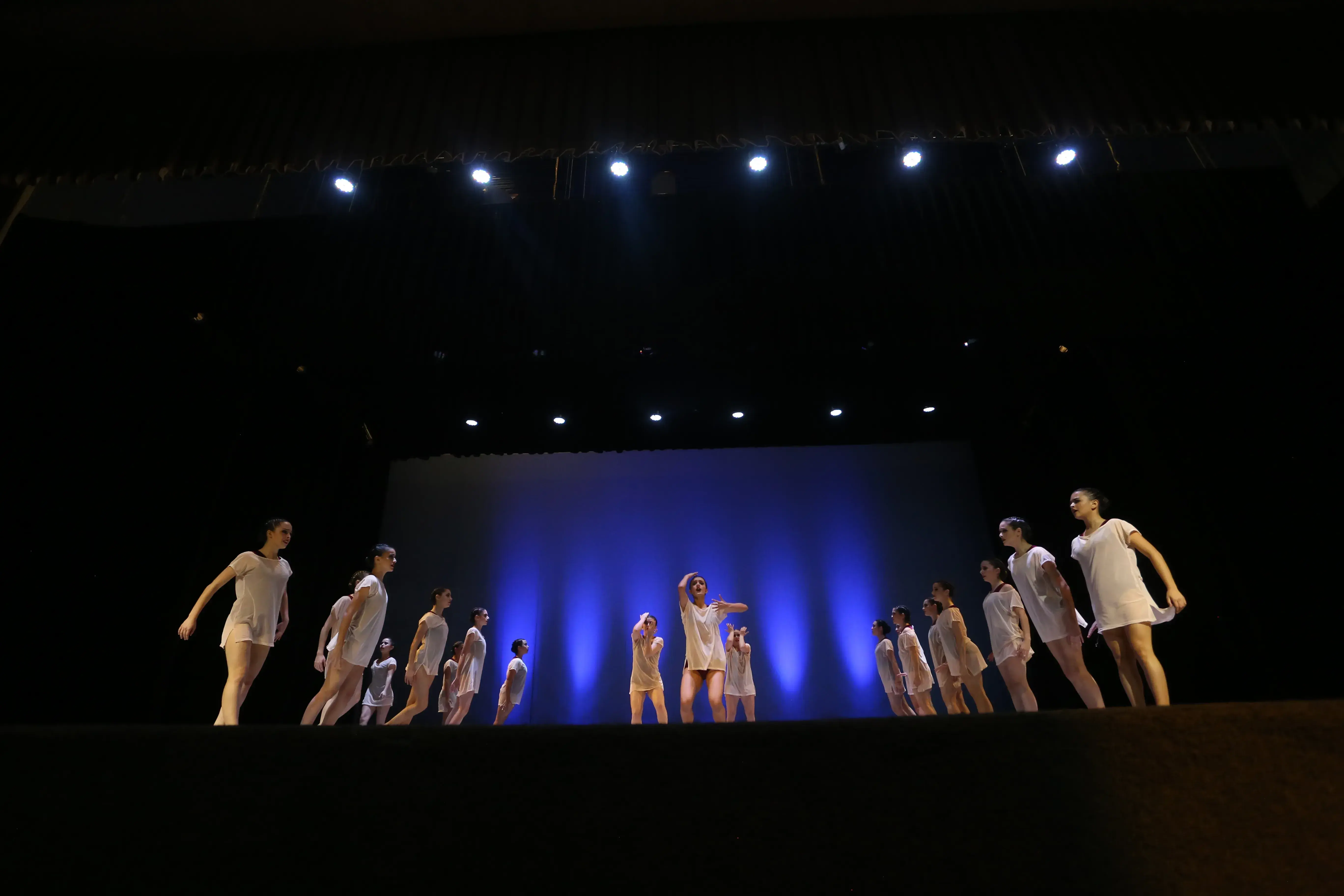 Festival de la Cultura y las Artes en Laguna
