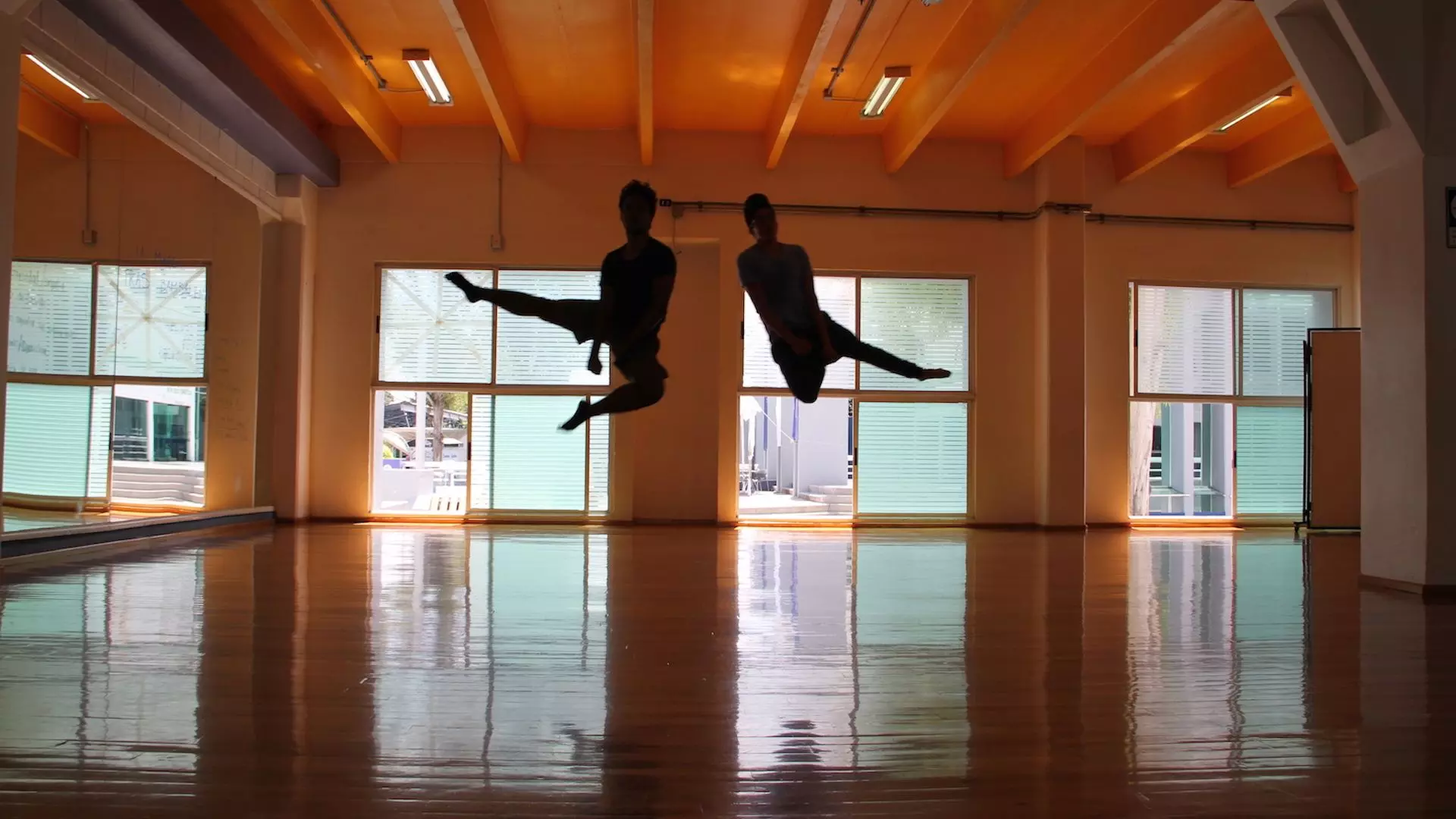 Danza con Causa 4