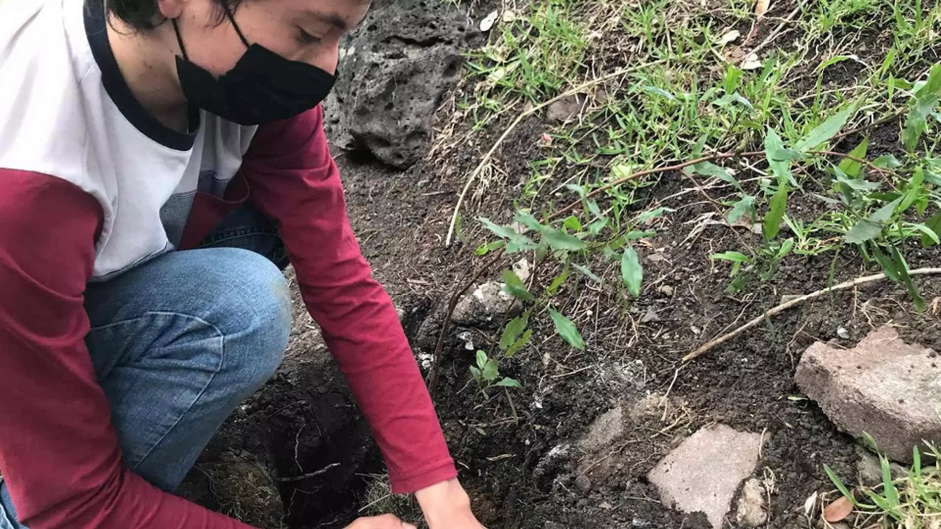 Cada quien puso su esfuerzo para contribuir a combatir el cambio climático.