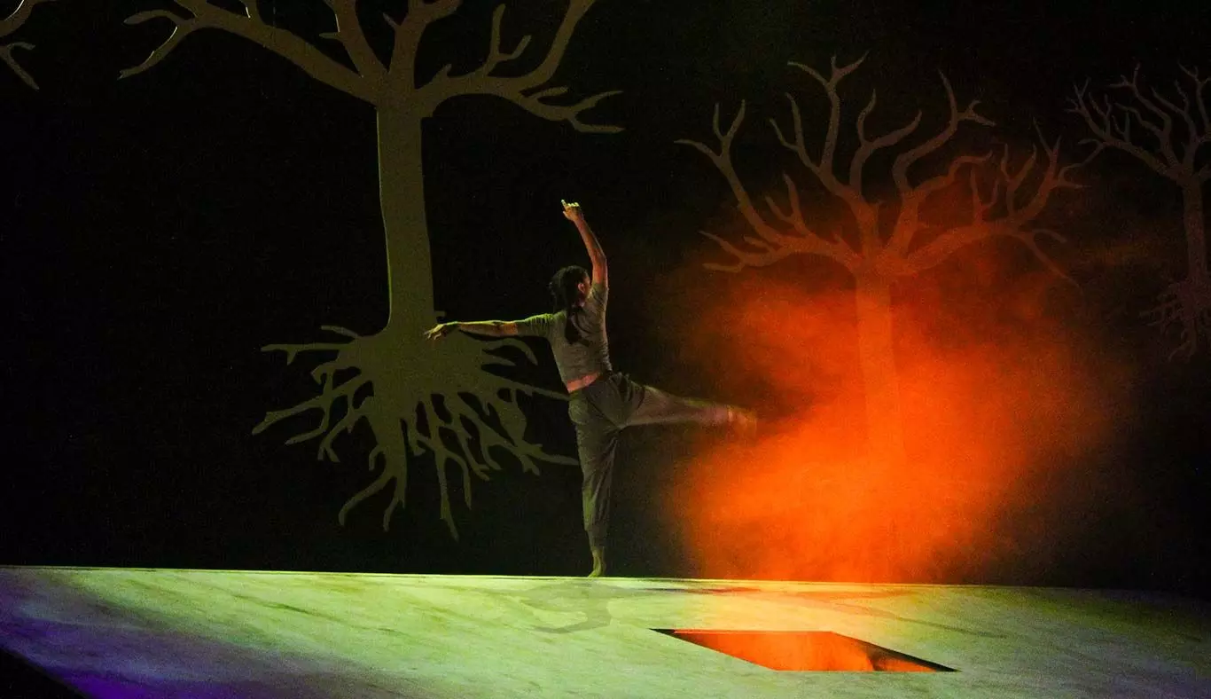 Concierto de danza contemporánea “Petricor” 