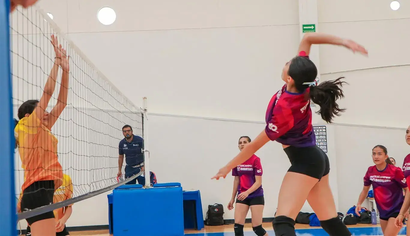 Se jugó voleibol en las diferentes categorías