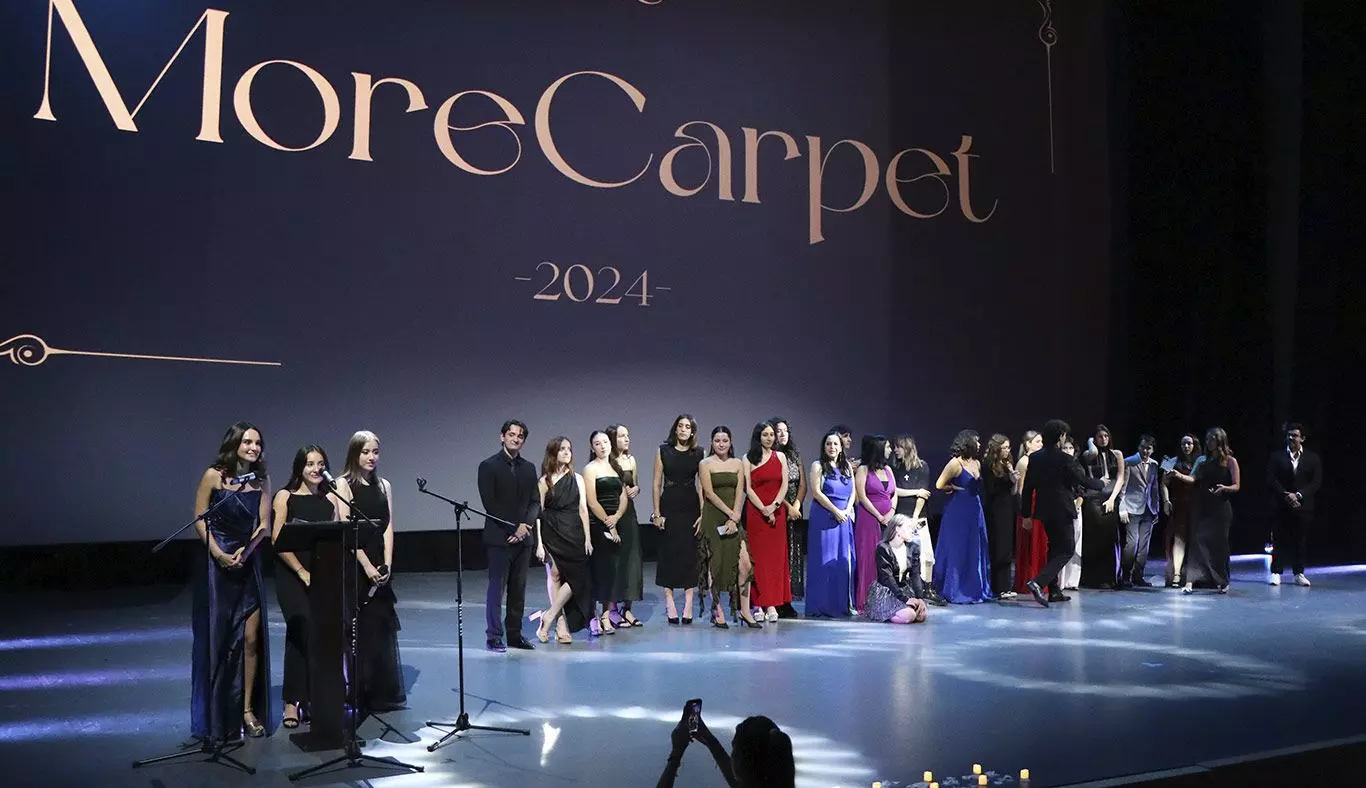 Fin de MoreCarpet