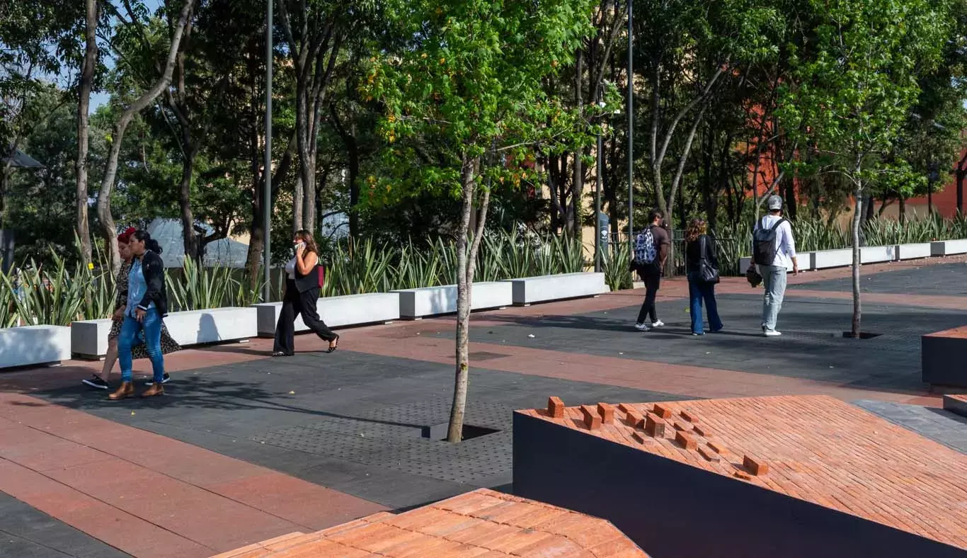 Al aire libre: alumnos tec estrenan espacio de convivencia en Tec CSF