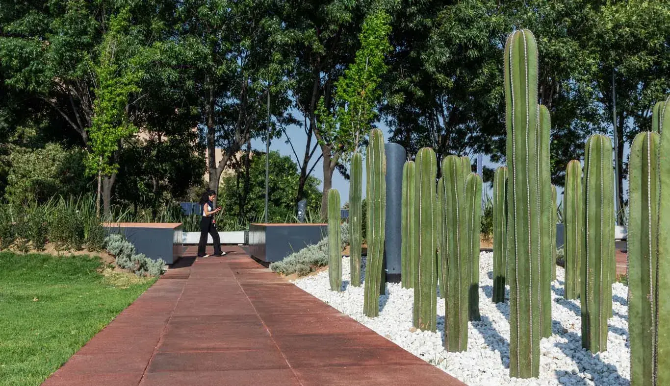 Al aire libre: alumnos tec estrenan espacio de convivencia en Tec CSF
