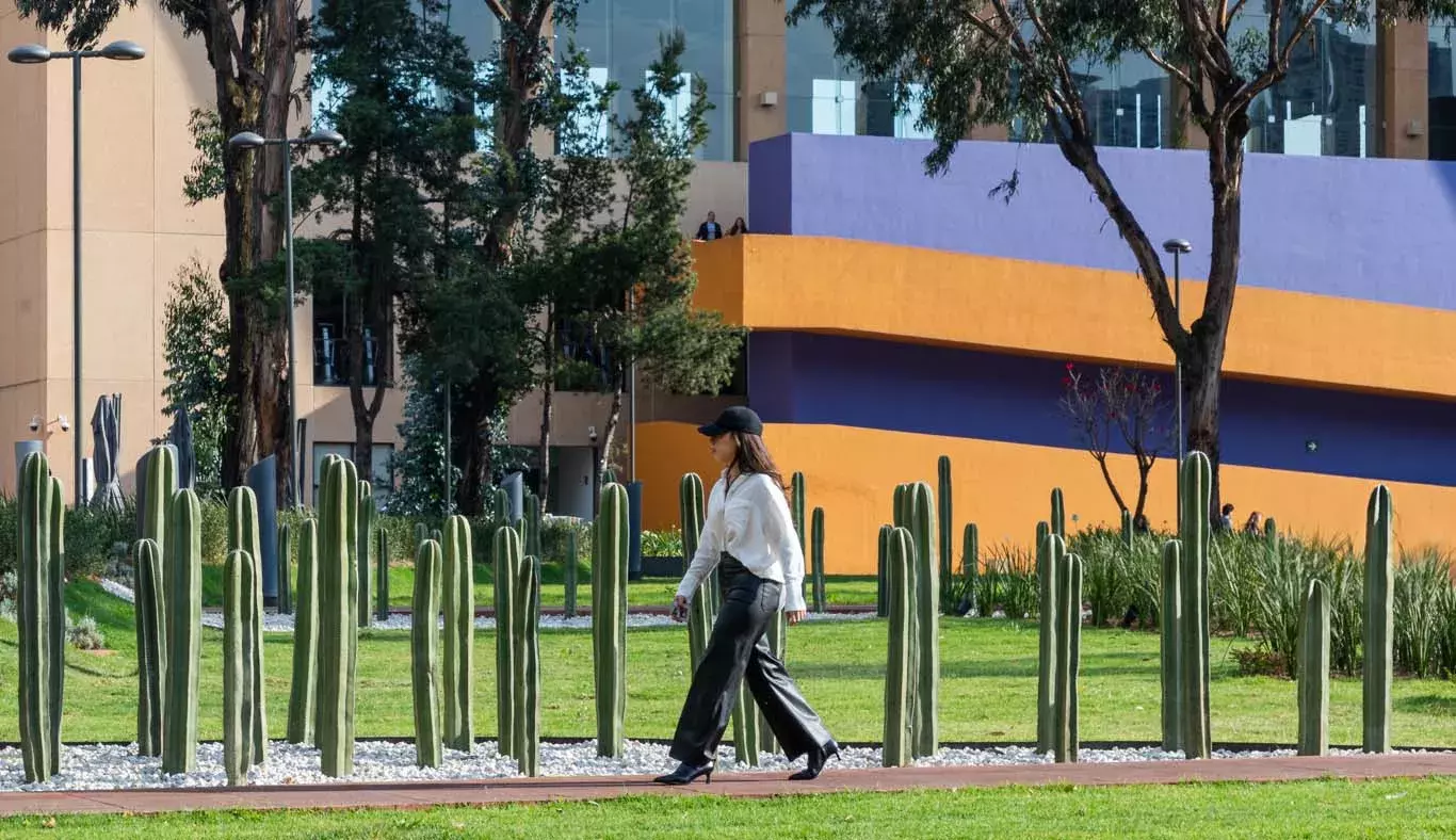 Al aire libre: alumnos tec estrenan espacio de convivencia en Tec CSF
