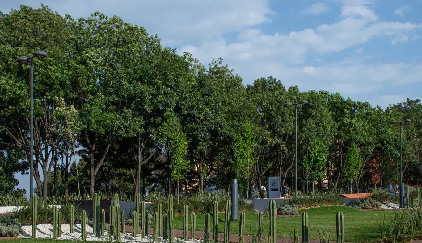 Al aire libre: alumnos tec estrenan espacio de convivencia en Tec CSF