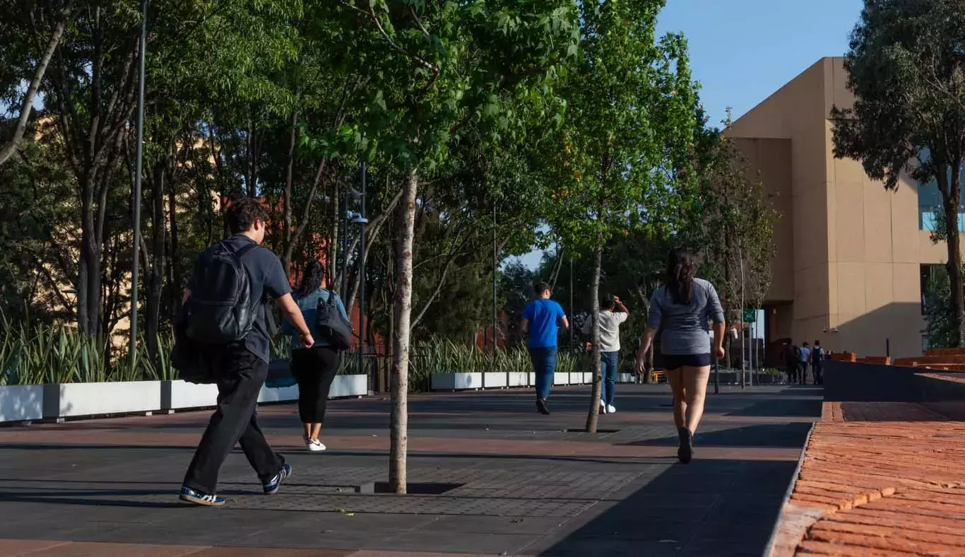 Al aire libre: alumnos tec estrenan espacio de convivencia en Tec CSF