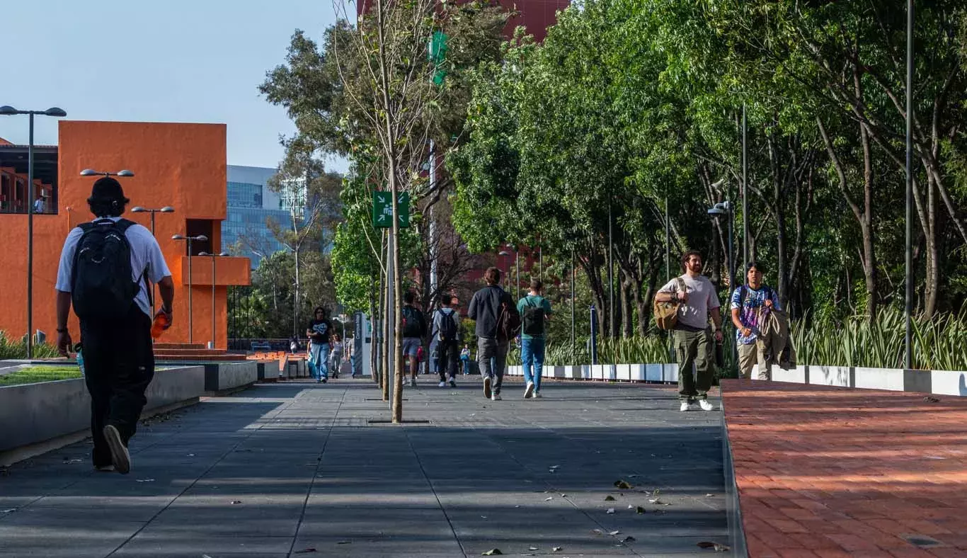 Al aire libre: alumnos tec estrenan espacio de convivencia en Tec CSF