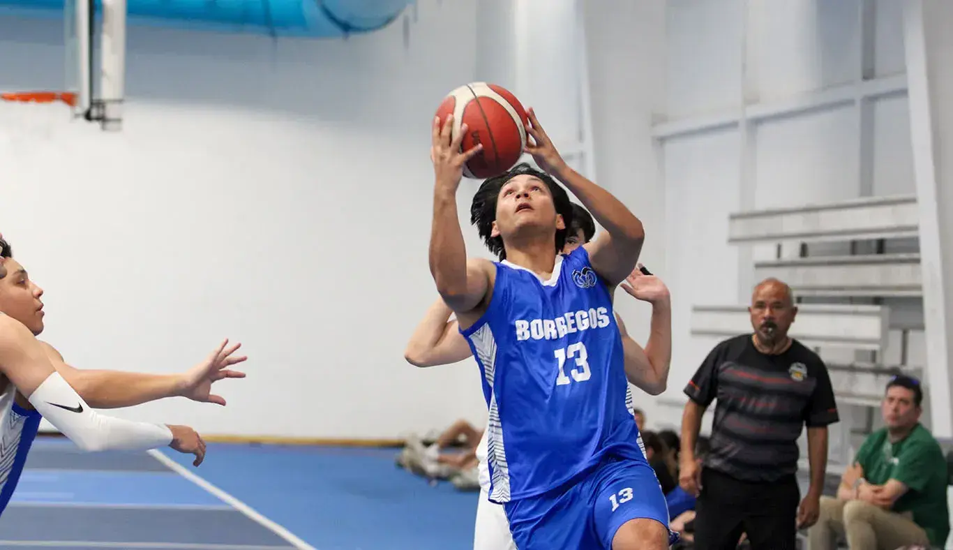 basquetbol varonil torneo regional noroeste tec