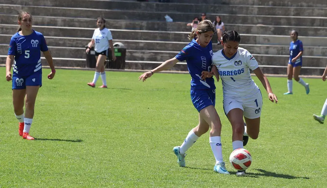 Así se vivió el Torneo Región Noroeste en Laguna y León