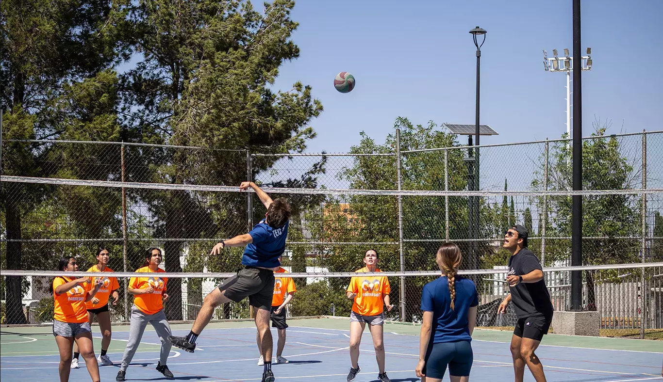 patido-de-volley