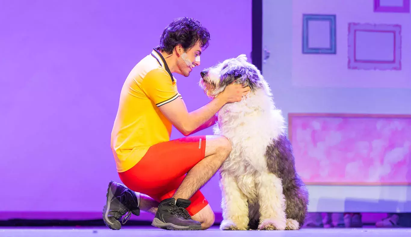 ¡Revive Legalmente Rubia el musical! Presentado por Tec Toluca (Fotos)