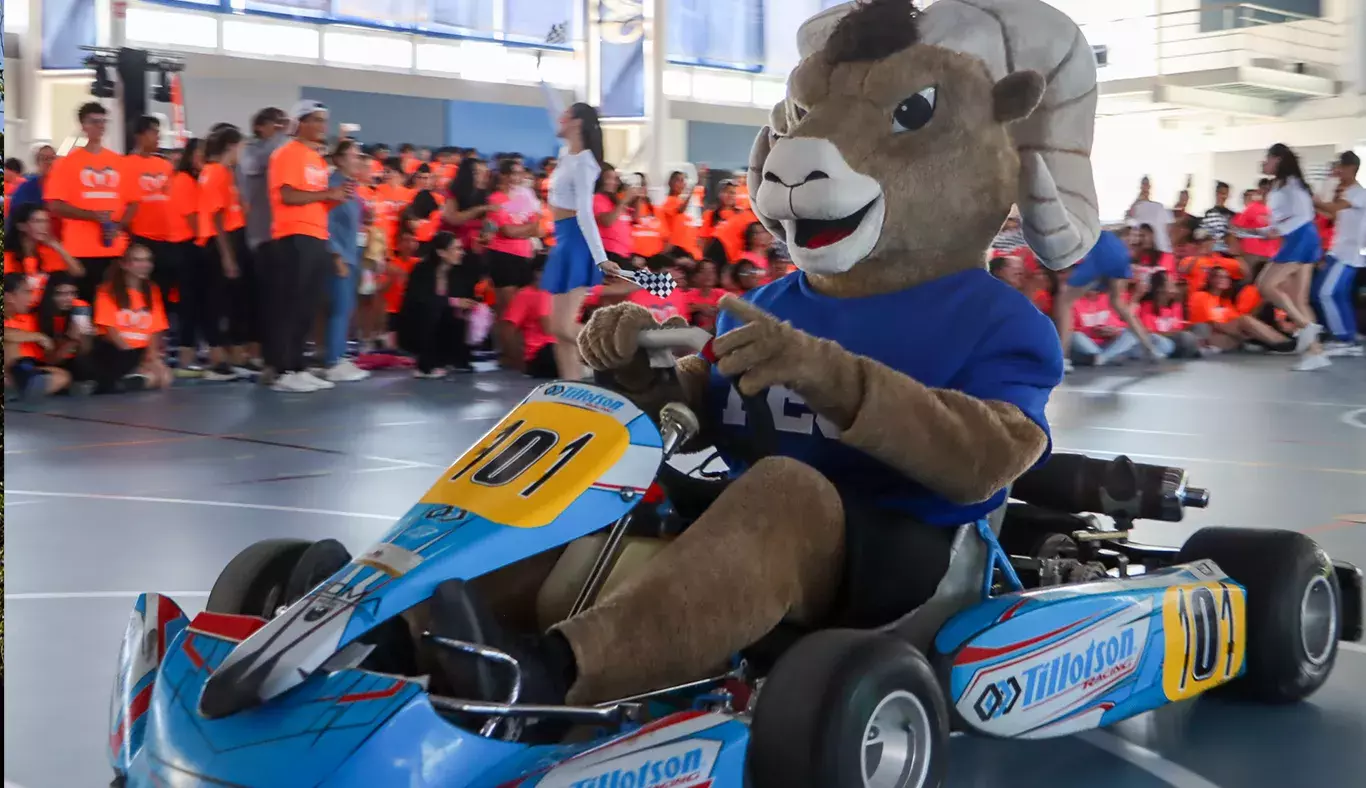 teus-en-kart