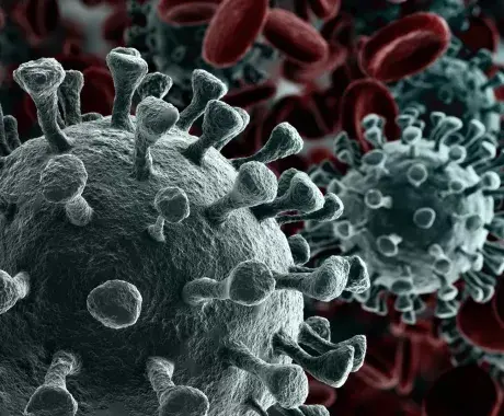 Tec difunde medidas preventivas y contactos de ayuda por coronavirus