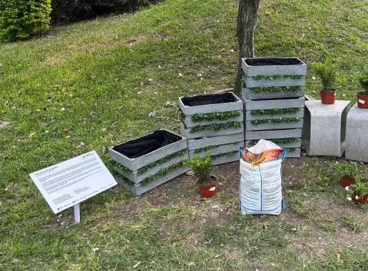 Bailando con las abejas: el jardín con IA creado por alumnos Tec