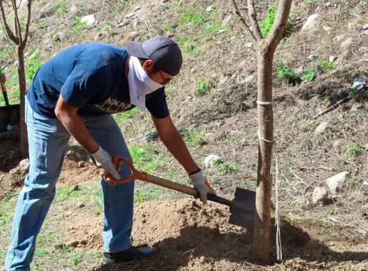 Miembro de la comunidad Tec campus León plantando un árbol.