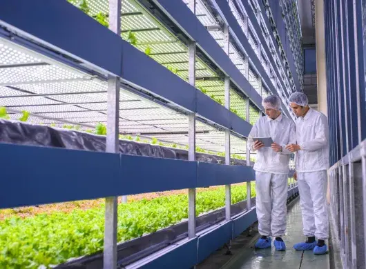 Tec Qro fosters innovation links between agriculture in Mexico and UK