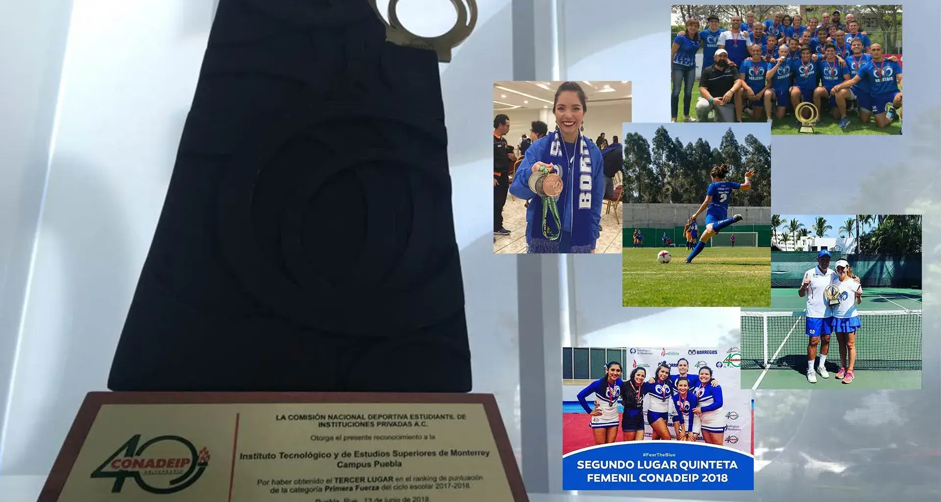 Gracias a su trabajo siguen en los primeros lugares