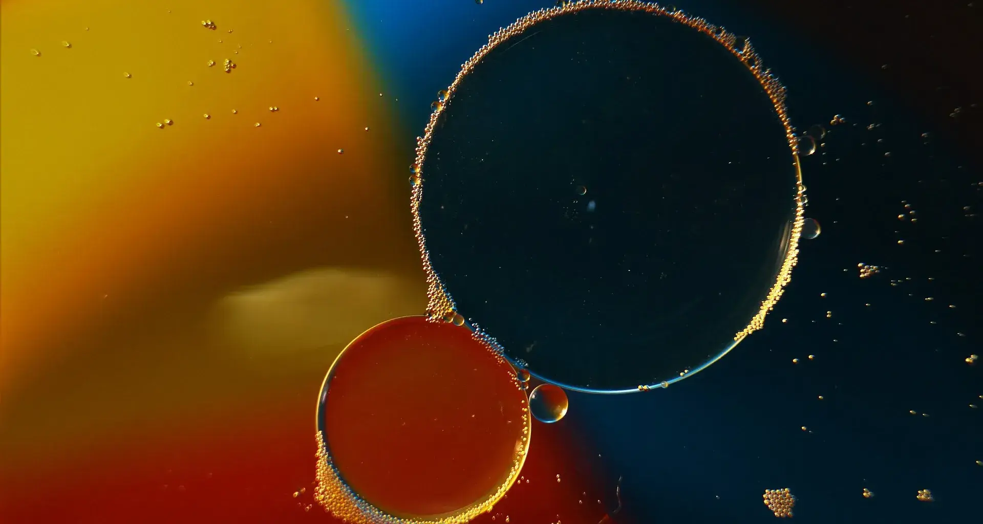 Buscan mitigar contaminación en agua con memoria biológica