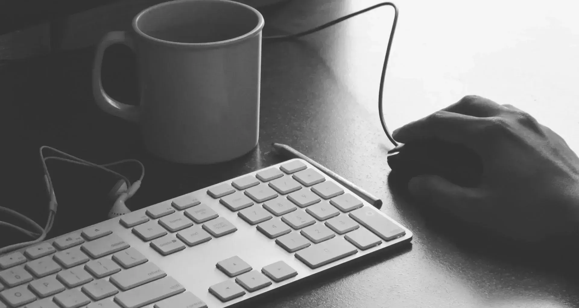 Centro de Vida y Carrera