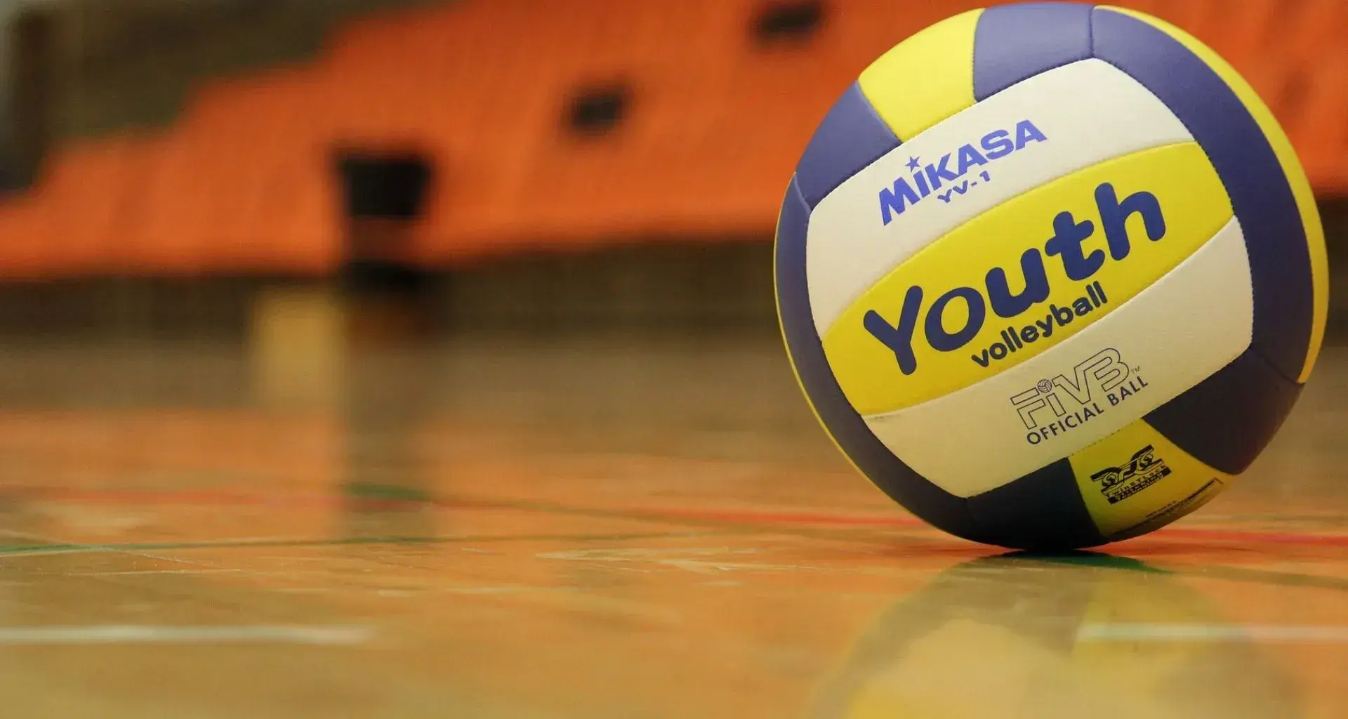 Liga Promocional de Voleibol