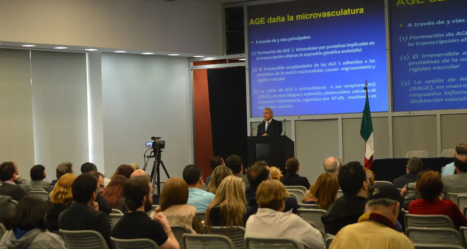 El sistema Cardiovascular y Renal en la Diabetes Tipo 2