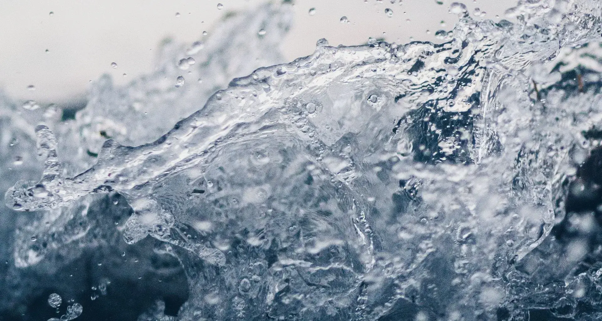 Foro de la Economía del Agua