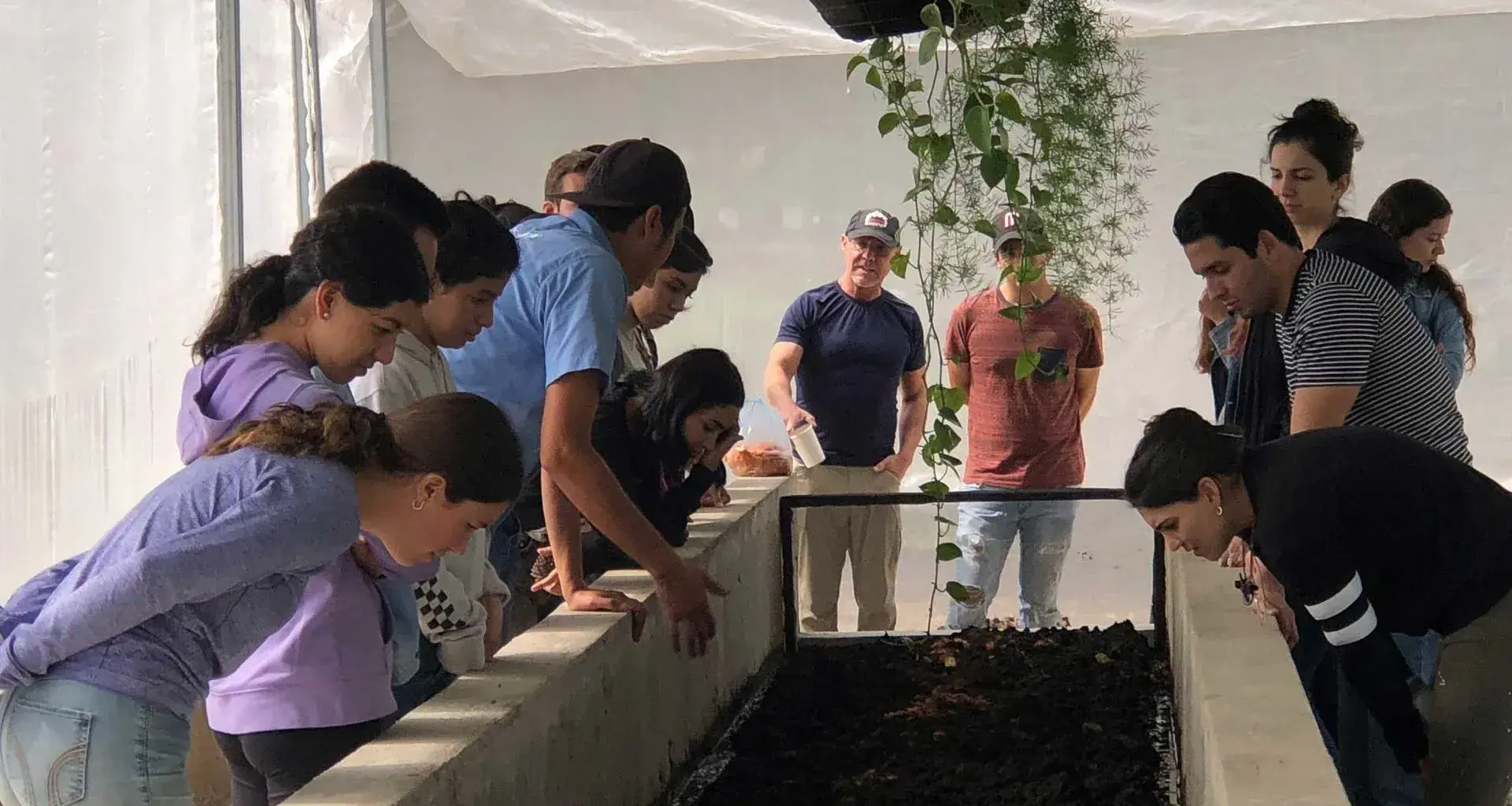 Arbolado Inteligente y Urbanismo en el Tec