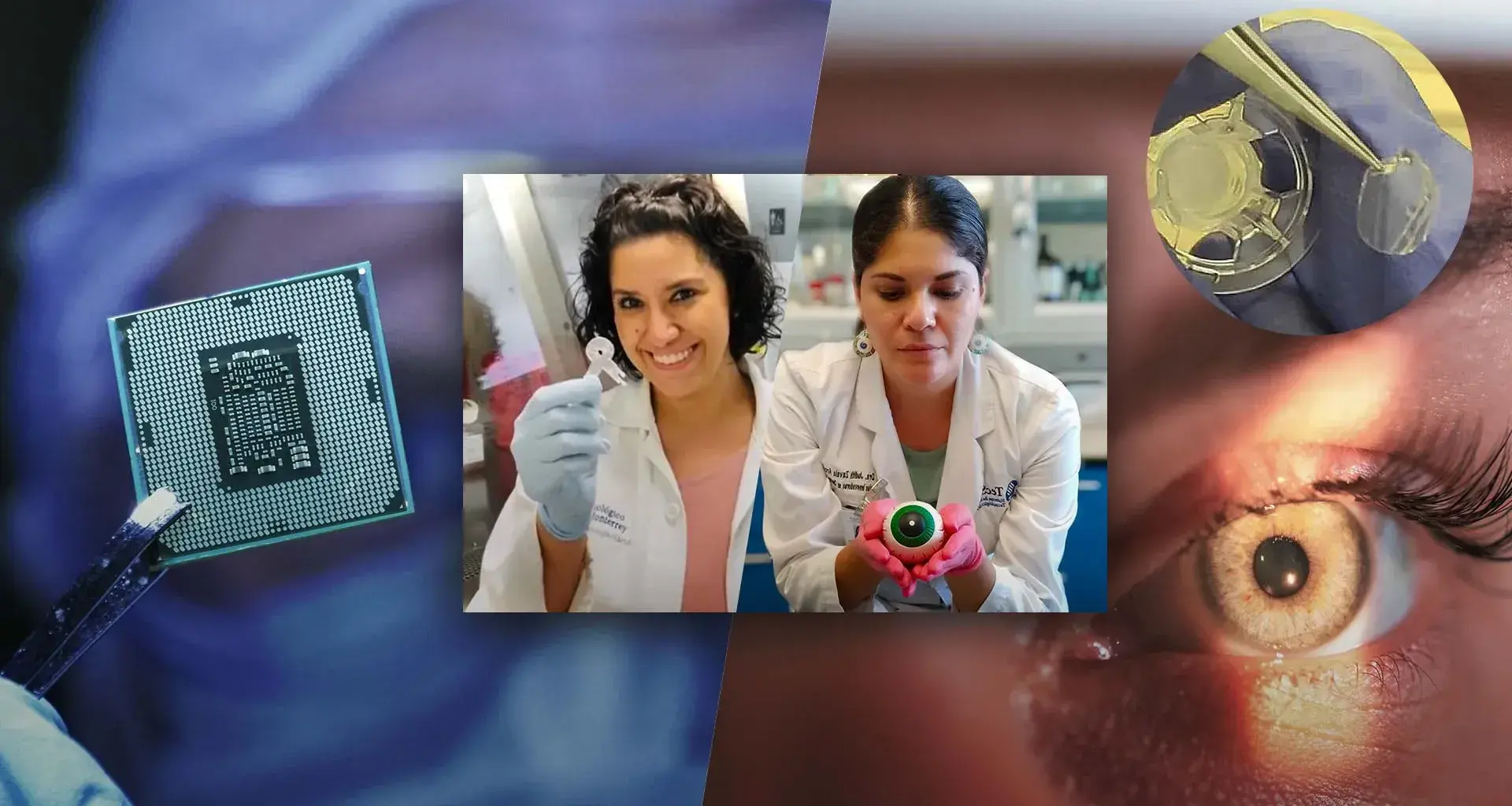 Cientificas del Tec de Monterrey fueron reconocidas en el Top25 de Mujeres científicas en LATAM de 3M
