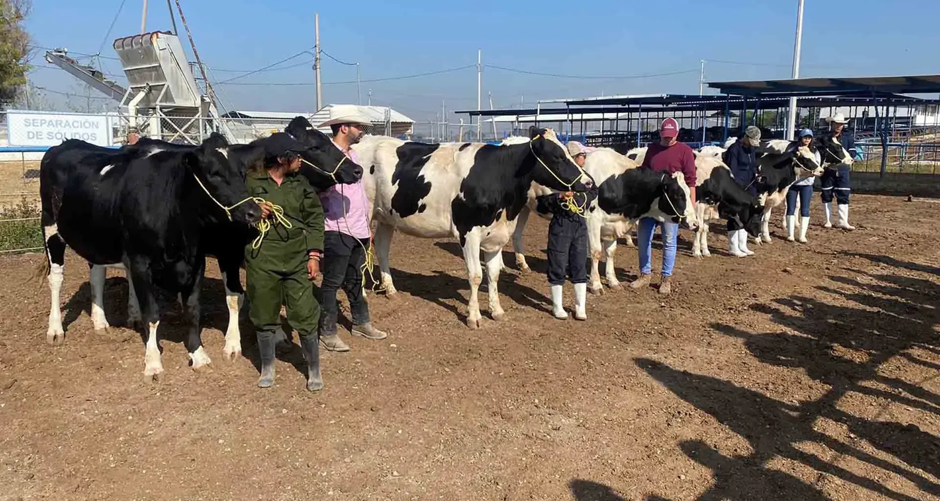 Estudiantes desarrollan proceso de fertilidad en establo lechero